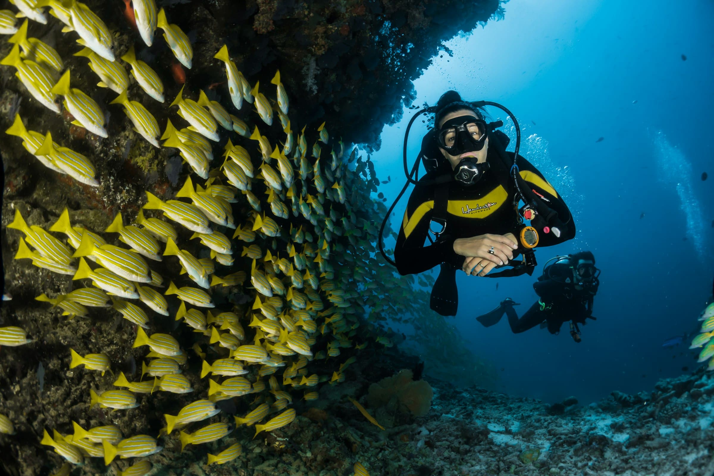 A scuba diver hovering beside a shoal of yellow fish on a deep blue reef