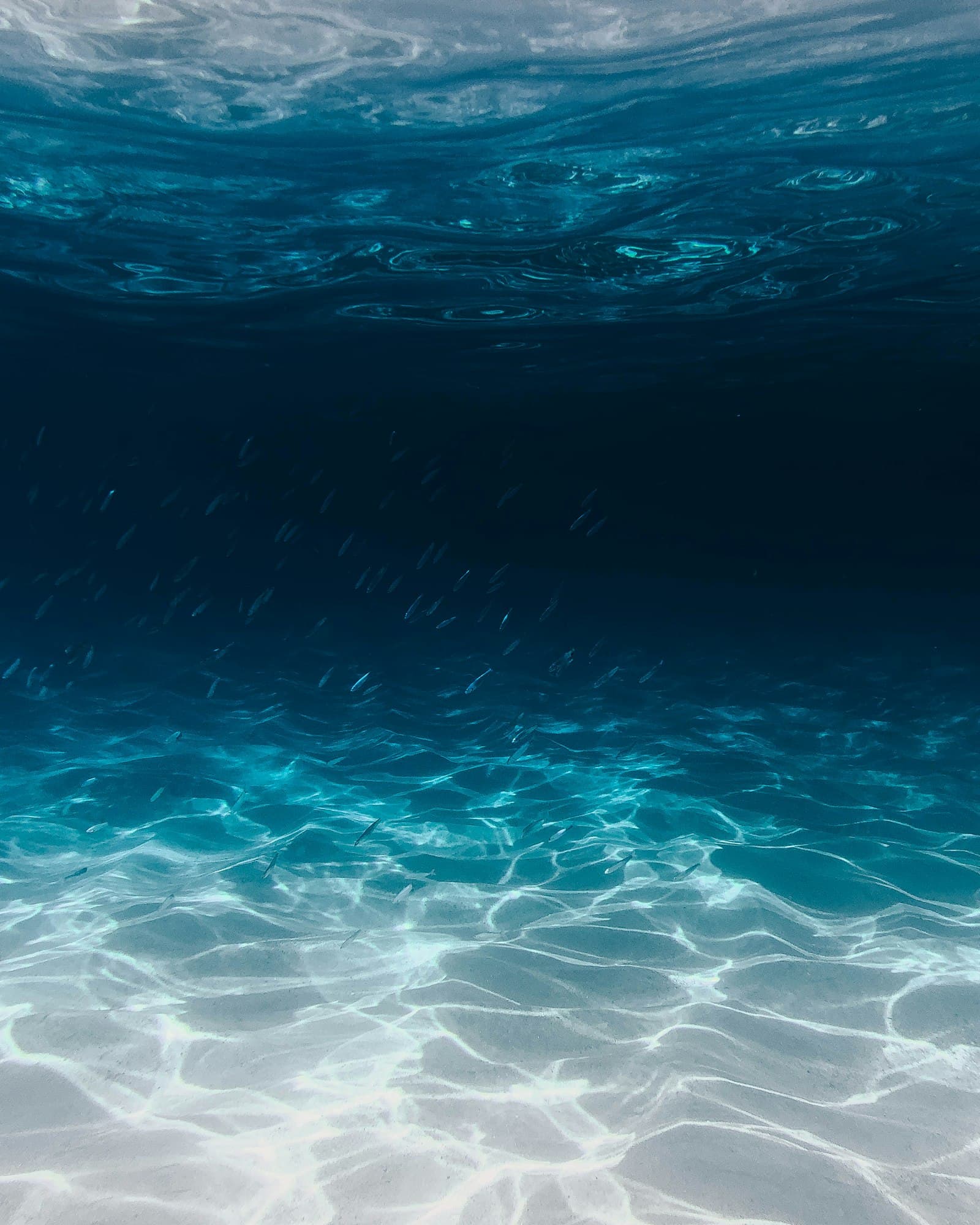 Sunlight rippling across the sandy seabed in clear blue water